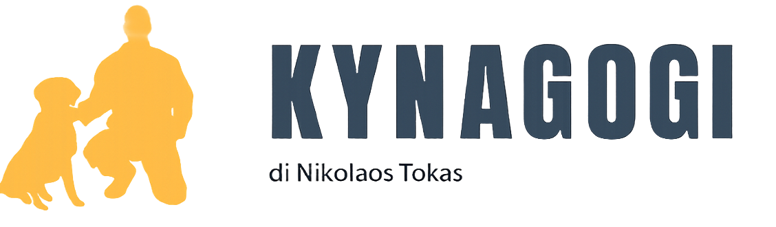 Kynagogi Academy